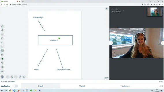Screenshot van het whiteboard tijdens het WeSeeDo gesprek, met dame ernaast
